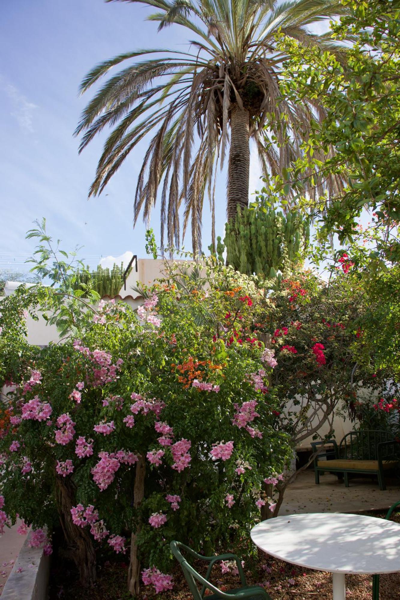 Sant Francesc de s'Estany La Pandilla Ibiza旅舍 外观 照片